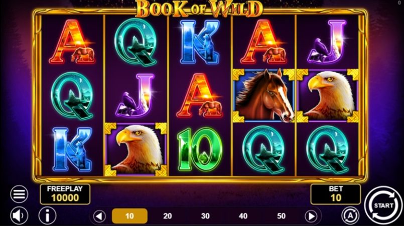 Book of Wild Slot 3