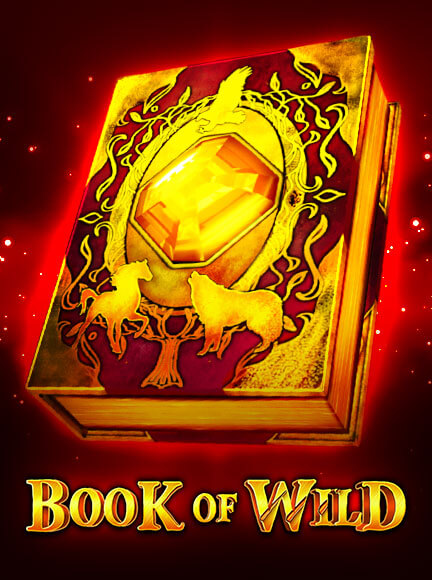 Book of Wild Slot 1