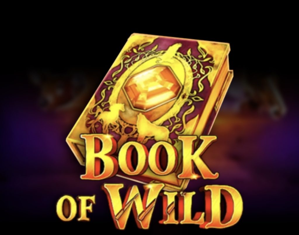 Book of Wild Slot 2