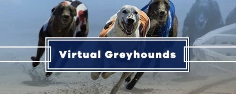 Virtual Greyhounds Slot 3