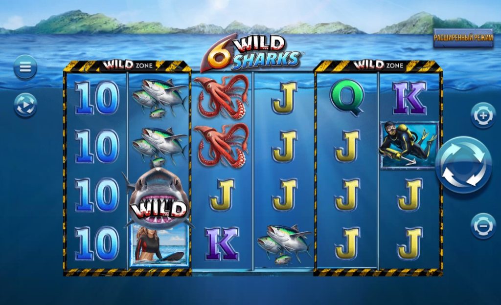 6 Wild Sharks 2