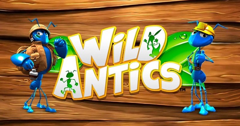 Wild-Antics